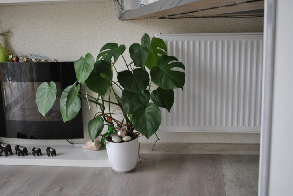 I Love Heviz Apartments Exterior foto