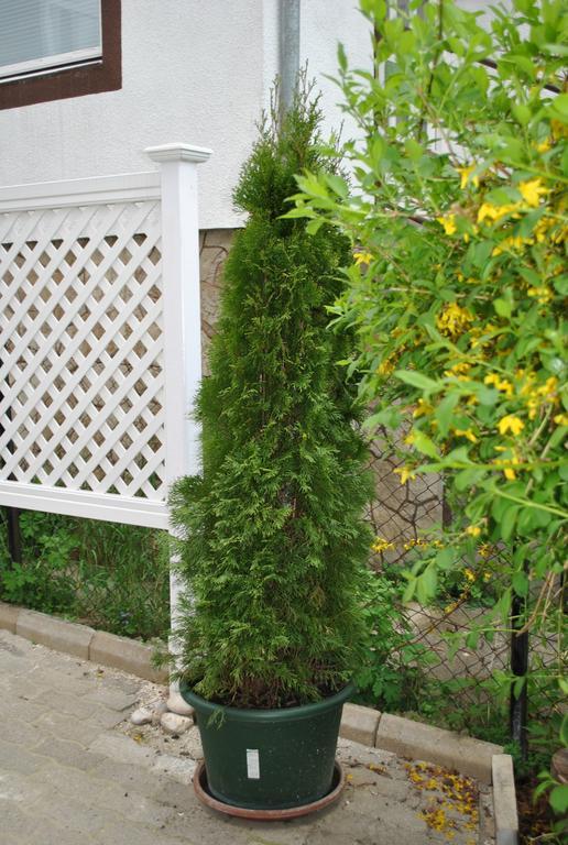 I Love Heviz Apartments Exterior foto